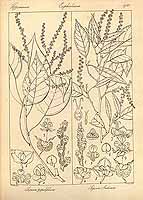  no thumbnail available