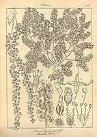  no thumbnail available