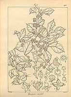  no thumbnail available