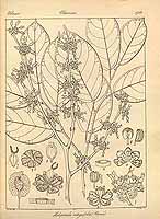  no thumbnail available