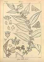  no thumbnail available