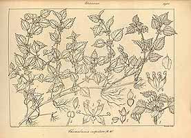  no thumbnail available