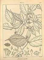  no thumbnail available