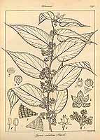  no thumbnail available