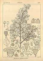  no thumbnail available