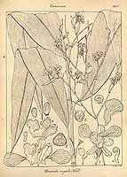  no thumbnail available