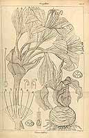  no thumbnail available