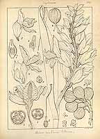  no thumbnail available