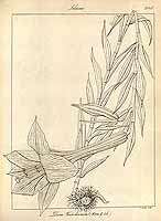  no thumbnail available