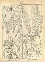  no thumbnail available