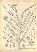  no thumbnail available