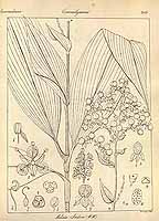  no thumbnail available