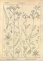  no thumbnail available