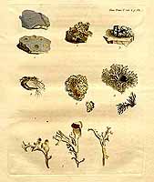  no thumbnail available