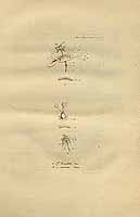  no thumbnail available