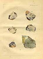  no thumbnail available