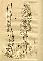  no thumbnail available