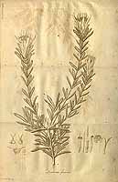  no thumbnail available