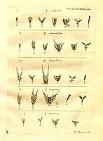  no thumbnail available