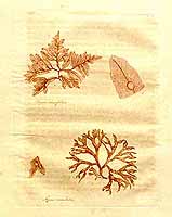  no thumbnail available