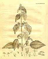  no thumbnail available