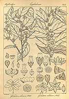  no thumbnail available