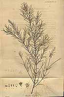  no thumbnail available