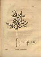  no thumbnail available