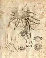  no thumbnail available