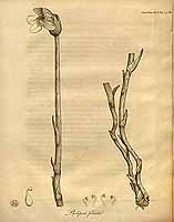  no thumbnail available