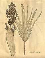  no thumbnail available