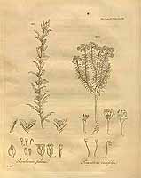  no thumbnail available