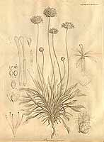  no thumbnail available