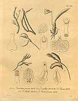  no thumbnail available