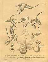  no thumbnail available