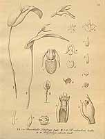  no thumbnail available