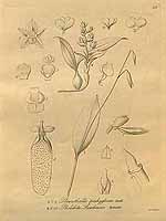  no thumbnail available