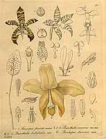  no thumbnail available