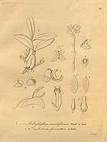  no thumbnail available