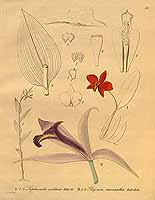  no thumbnail available