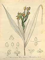  no thumbnail available