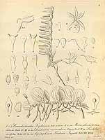  no thumbnail available