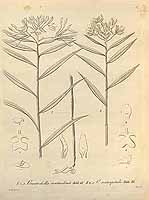  no thumbnail available