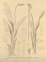  no thumbnail available