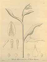  no thumbnail available