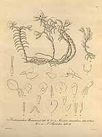  no thumbnail available