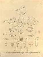  no thumbnail available