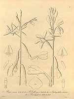  no thumbnail available