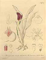  no thumbnail available