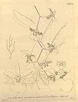  no thumbnail available